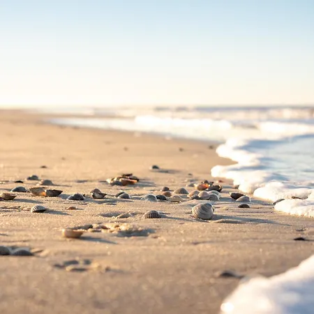 Arche Svea Stockente * Spiekeroog