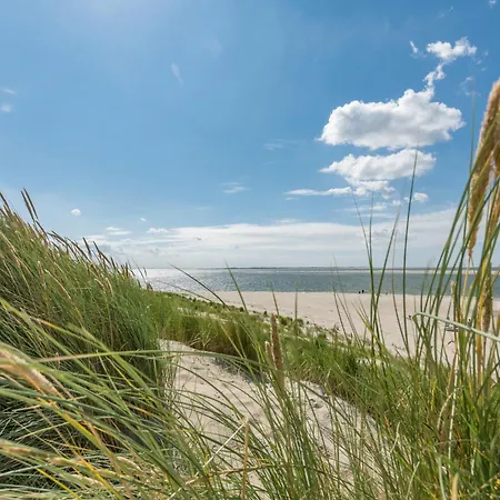 Appartamento Arche Svea Stockente