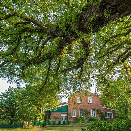 Arche Svea Stockente