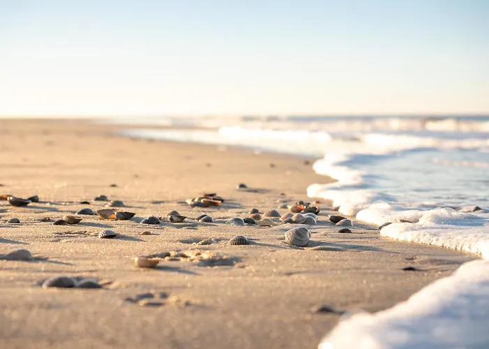 Arche Svea Stockente * Шпикерог