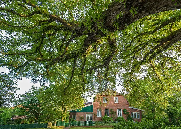 Arche Svea Stockente